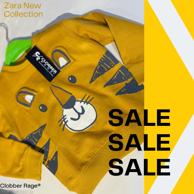 Zara Boys Sweatshirt
