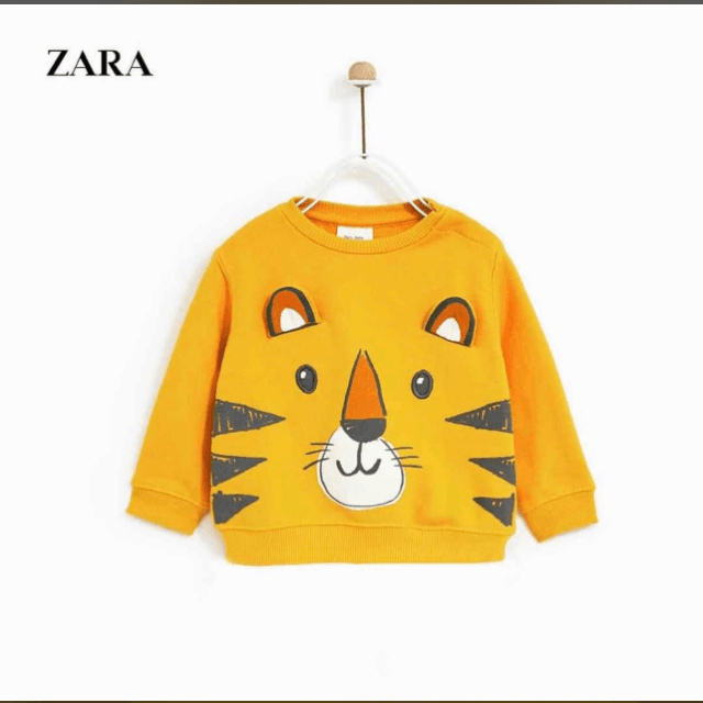 Zara Boys Sweatshirt
